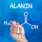 The effects and intake of beta alanine